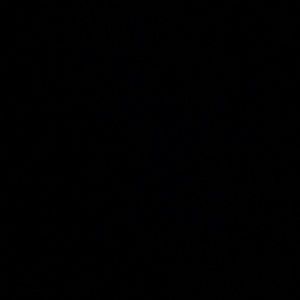 Meet your Posher, Brynn